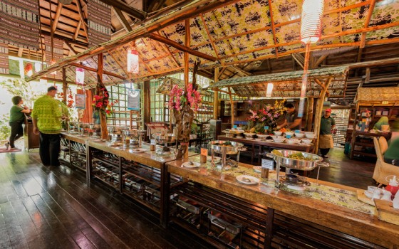 Borneo Tropical Rainforest Tour